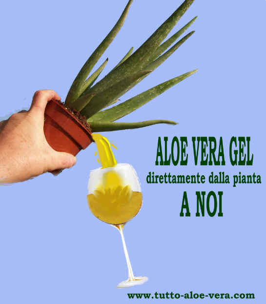 Il succo di ALOE VERA GEL è come bere direttamente dalla pianta