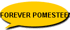 FOREVER POMESTEEN Power